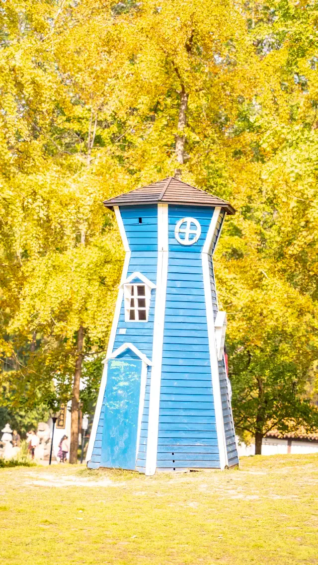 This autumn, you must visit Wuhan to experience the city's autumn whispers