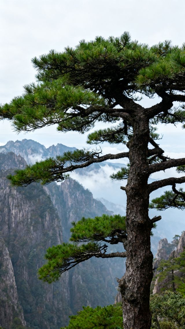 覽奇松雲海，訪水墨宏村