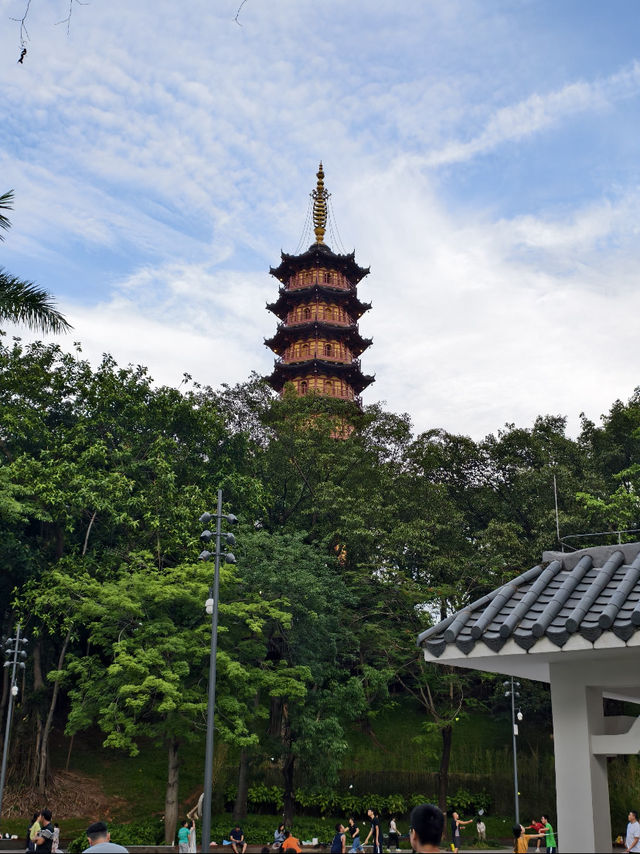 龍華公園拍塔全攻略