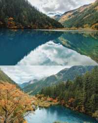 九寨溝彩林封神攻略｜10-11月顏值巔峰，錯過等一年的油畫