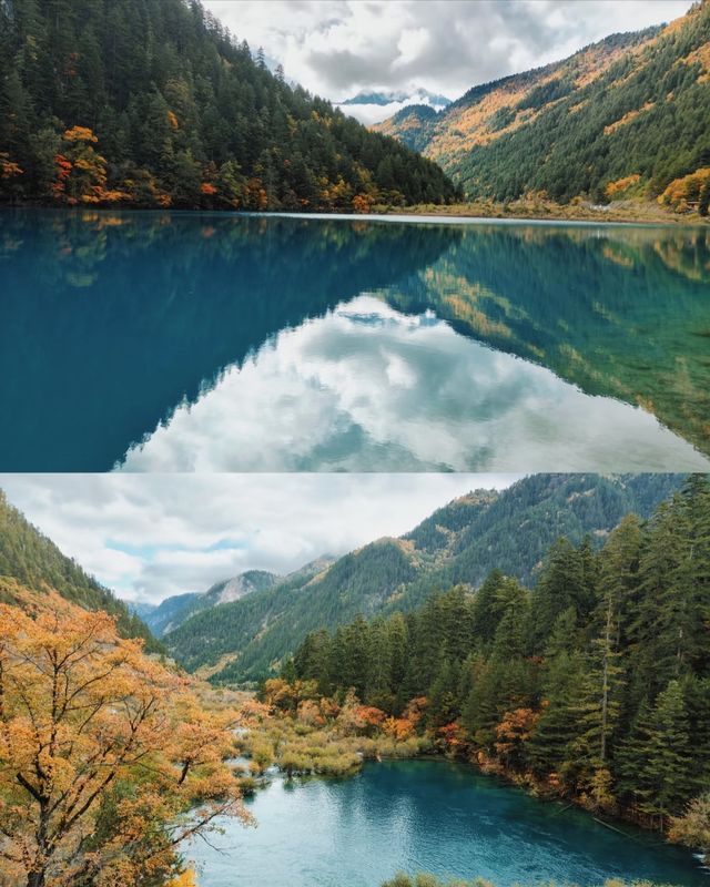 九寨溝彩林封神攻略｜10-11月顏值巔峰，錯過等一年的油畫