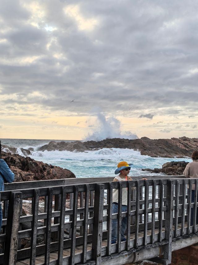 西澳D2:Cape Naturaliste懸崖海景