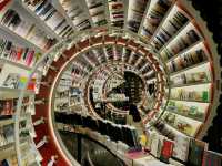📚 鐘書閣 × 前海歡樂港灣｜魔幻書店與海風散步的一日慢行 