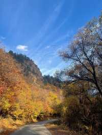 闖入秋天的油畫！木蘭圍場五道溝風景區