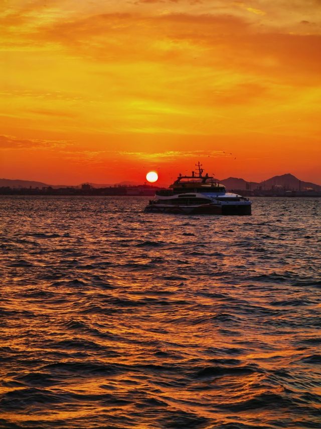 青島漫遊 青島漫遊