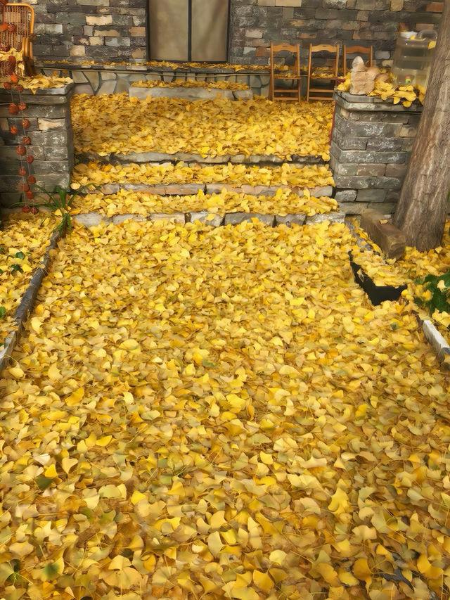 天津薊縣｜秋天一定要來住的小院