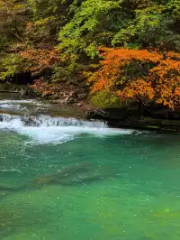 西安周邊|不愧陝南小九寨低估賞秋天花板