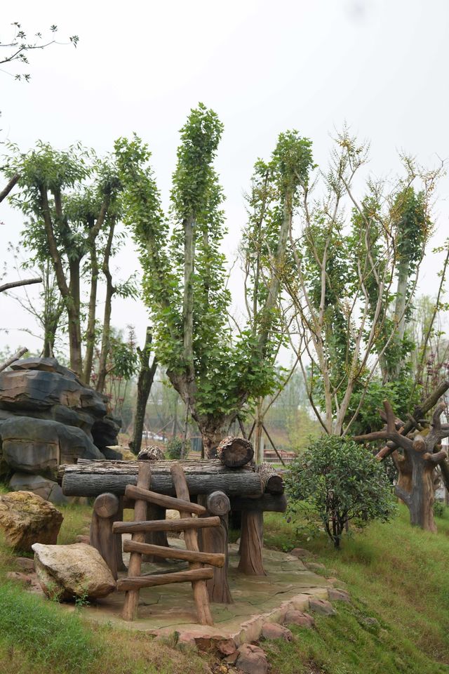 我國再添一座大熊貓基地 我國再添一座大熊貓基地