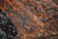 絕了！藏在邯鄲的七彩秋色仙境三條路線任你選