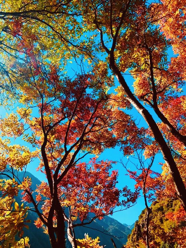 龍上小九寨-遮陽山 龍上小九寨-遮陽山