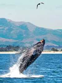 冰川摩托馳騁雪原*巨魔峽灣遊船巡航