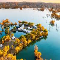 新疆胡楊林公園景區3天2夜5000元旅遊攻略