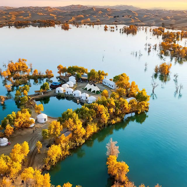 新疆胡楊林公園景區3天2夜5000元旅遊攻略