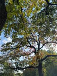 這個公園必須得去啊