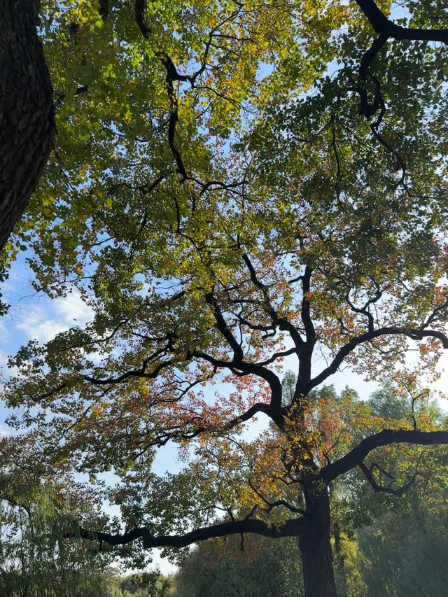 這個公園必須得去啊