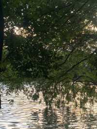 魔都隱蔽寶藏!西郊賓館免費參觀全攻略