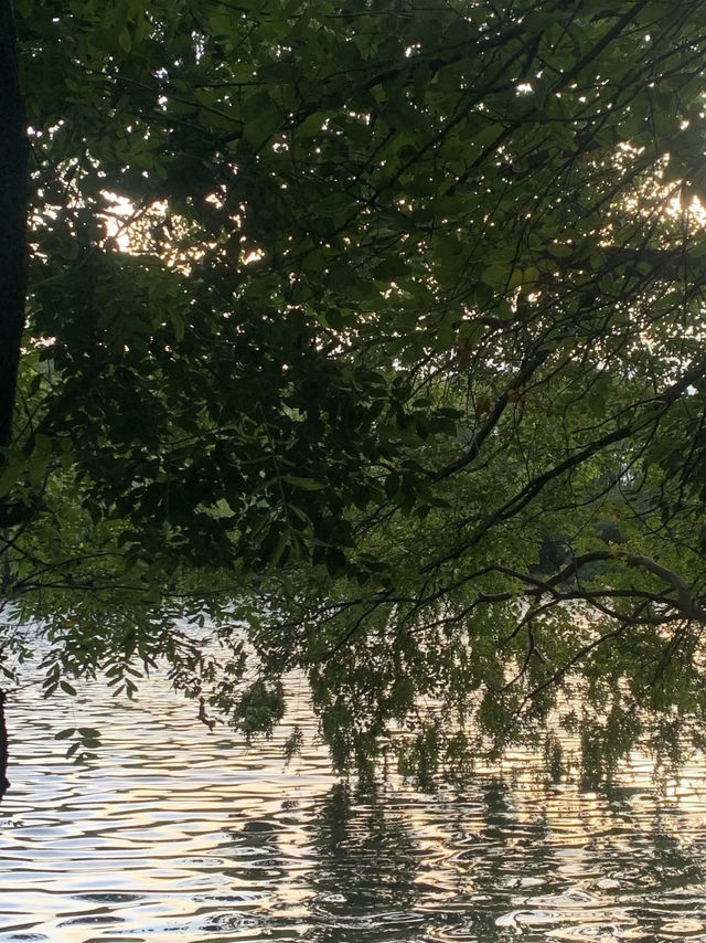 魔都隱蔽寶藏!西郊賓館免費參觀全攻略 魔都隱蔽寶藏!西郊賓館免費參觀全攻略