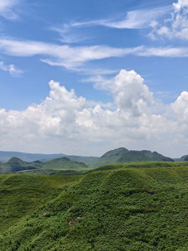 阿西里西大草原：把風揉成浪，把浪漫種滿坡