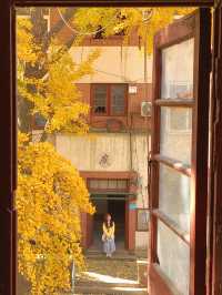 Live實況來青島拍到了18張人生照片！！