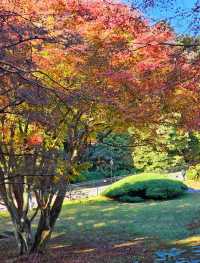 在廬山，抓住了秋天的尾巴