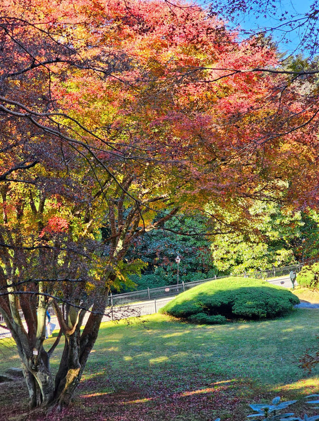 在廬山，抓住了秋天的尾巴