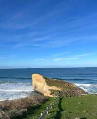 新西蘭南島火爆全網!隧道沙灘重新開放啦