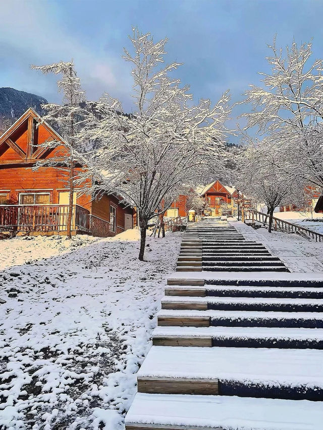 成都西嶺，超適合親子的低海拔雪山附攻略