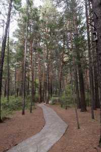 秒變採蘑菇的小伙子