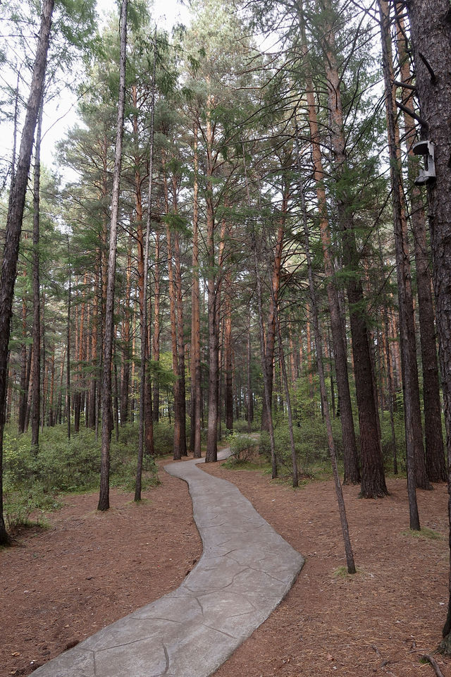 秒變採蘑菇的小伙子