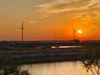 走進一片世外桃源~東灘濕地好美