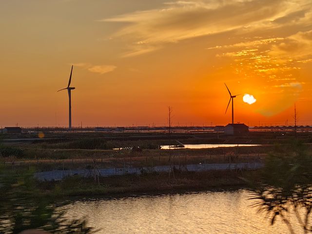 走進一片世外桃源~東灘濕地好美 走進一片世外桃源~東灘濕地好美