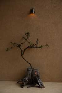 香格里拉必住野奢酒店