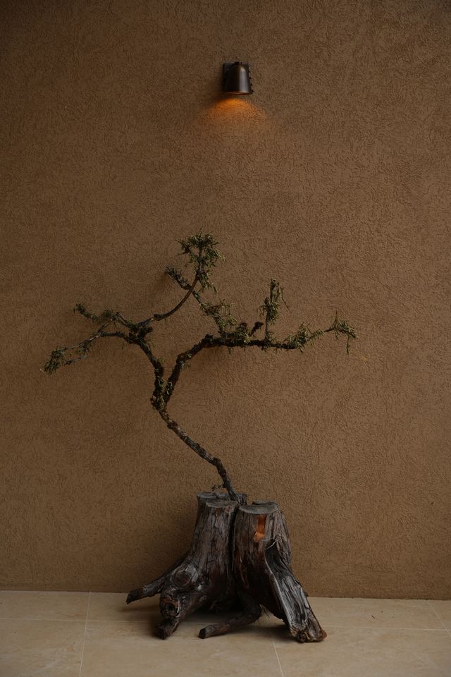 香格里拉必住野奢酒店