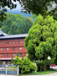 這是我花5蚊雞就能看到的景色？！？！