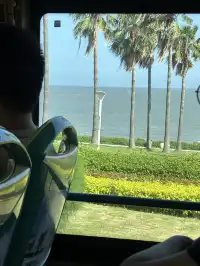 廈門11月15日現況，誰懂今天的天氣含金量！！