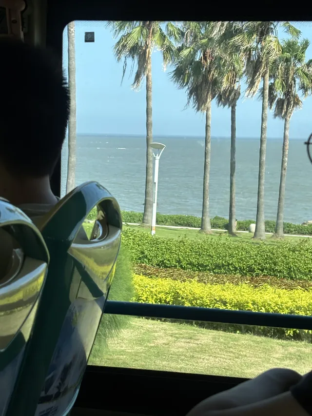 廈門11月15日現況，誰懂今天的天氣含金量！！