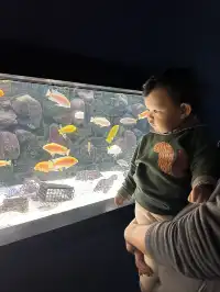 天津海洋極地公園｜必看四大海洋秀