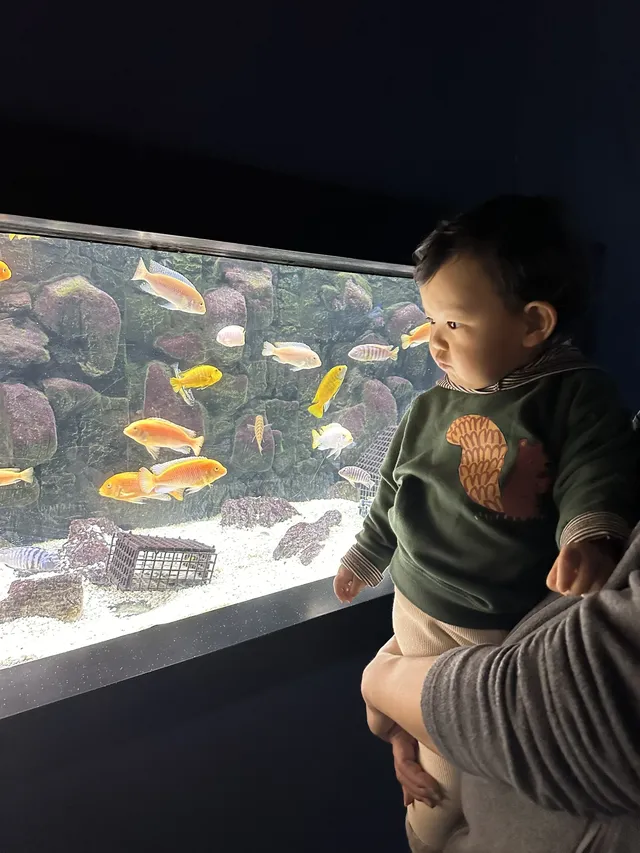 天津海洋極地公園｜必看四大海洋秀