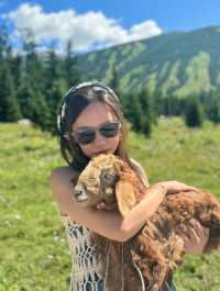 喀納斯：新疆嘅「瑞士仙境」，行到腳仔軟都值得嘅童話世界！ 喀納斯嘅神秘面紗由遠古傳說就已經展開。據講