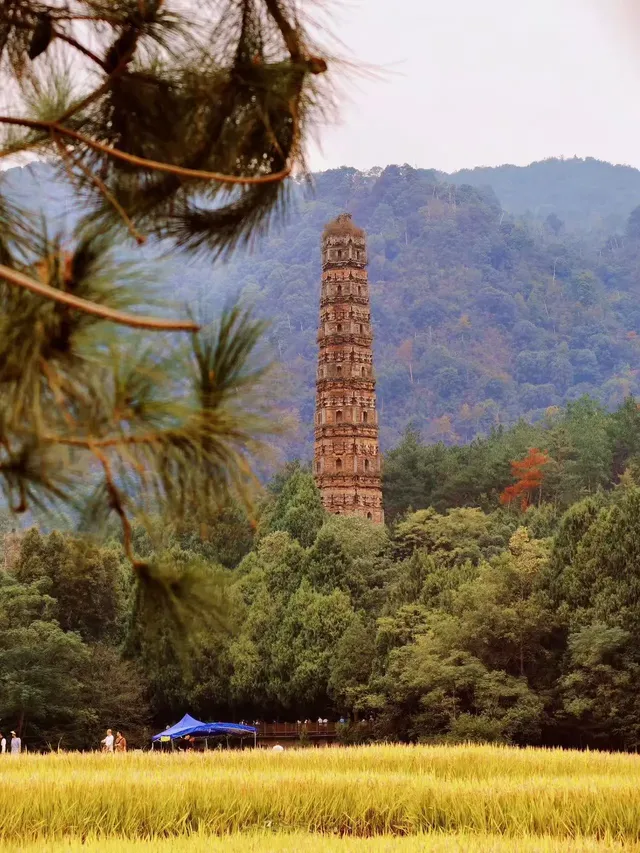 秋日國清寺:在千年古剎尋一份靜謐 秋日國清寺:在千年古剎尋一份靜謐