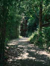 The here|藏著寵物友善的森系烏托邦