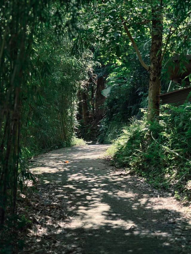 The here|藏著寵物友善的森系烏托邦 The here|藏著寵物友善的森系烏托邦