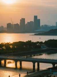 深圳親子紅樹林全攻略！帶娃解鎖5大濕地，觀鳥+日落+騎行