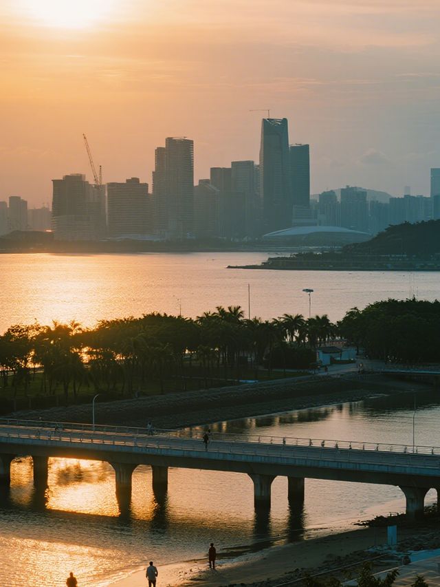 深圳親子紅樹林全攻略！帶娃解鎖5大濕地，觀鳥+日落+騎行