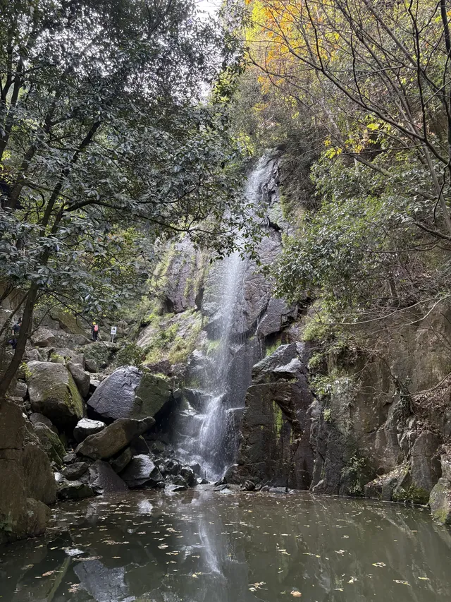 趁紅楓銀杏未落，走一趟莫干山蔣公古道吧！