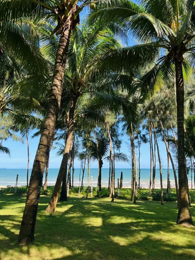 【4天3晚玩轉三亞】人均2500元!陽光沙灘性價比天花板 【4天3晚玩轉三亞】人均2500元!陽光沙灘性價比天花板