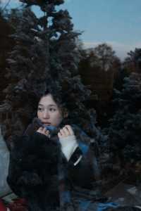 雪國莊園｜在霧淞裡泡成了冬日軟糖