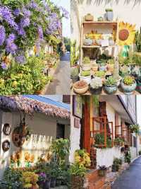 版納市區私藏!膠片感避世秘境