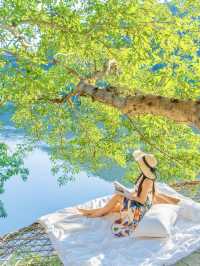 被朋友圈問爆的 西雙版納 雨林江景Villa