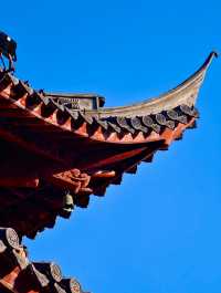 古剎追秋|北宋古寺、銀杏還有貓貓誰說秋意只在枝頭?